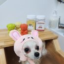 백설미용실 티스토리