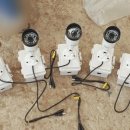 영도농장 이미지