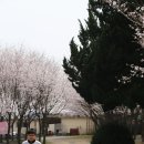 민식농장 네이버블로그