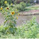 희망2행정사 이미지