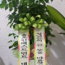 마을청년이슈연구소