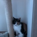 착한동물병원 이미지