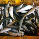 달빛좌대 이미지