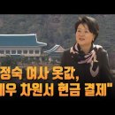 "김정숙 여사 옷 대여료 80만원…패션쇼서 고른뒤 靑서 수선": 댓글 이미지