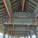 2025년 돈나무꽃 축제 | 『 2025년 천만 송이 아라온 가을꽃 축제』 다녀온 후기 늦게 올려봅니다