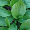 기명농장 이미지