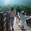 멕시카나 무주스키점 이미지