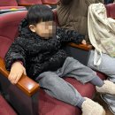 극단사람들 | 광주어린이뮤지컬 극단레미수완 정글북 관람 후기