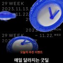 SHOPPING 쇼핑 | 29CM 블랙프라이데이 이굿위크 &amp; 마이셀렉션