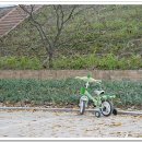 살다보면 이미지