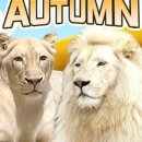 금화파크 이미지