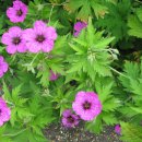 런던파크 이미지