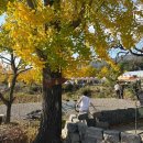 행복안전체험관 화장실 이미지