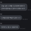 인성논란 라따뚜이 편 후기🐭🫕 이미지