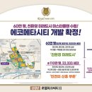 에코메타 이미지
