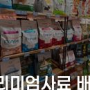더블유 펫 이미지