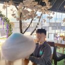 시골휴게점 | [전남 구례] 동물교감 체험 가능한 '번덕뜰' 후기 | 구례 아이와 가볼 만한 곳