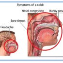 소아랑한의원 이미지