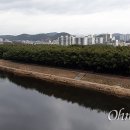 낮보다 밤이 더 화려한 울산 태화강 국가정원 이미지