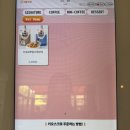 돌산배드민턴장(숲길) | 여수 돌산 대형카페 피읖카페 숲 속 감성 가득 힐링하기 좋은 곳