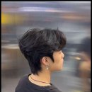 엘리제헤어 - 북구 | 엘리제헤어