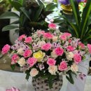 동림꽃농원 | 경산꽃집 꽃다발 대평동 동림꽃농원 메리골드로 의뢰했어요