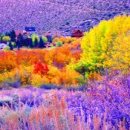 시티번역행정사사무소 이미지