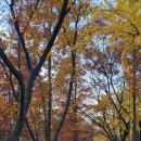 100세시대 건강체조 | 건강체조로 100세시대 활기찬 노후 준비