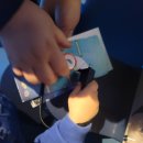 해양빌딩 | 시흥 거북섬 아이랑 가볼만한 곳 해양생태과학관 (ft. 2025년 7월 1일 개관, 사전예약 하면 정시 입장...