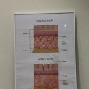 라데끄랩 슈가링 명지점