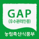시고개농원 네이버블로그