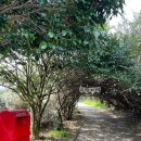 감동정비 올레 이미지