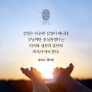 요한복음 12:12 – 12:19 어린 나귀를 타신 겸손과 평화의 왕 이미지