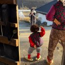 빨간기와집 이미지