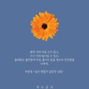 🍒소중한 인연🍒. 🍎조탁법🍎.🎎치고 받는 부부🎎. 이미지