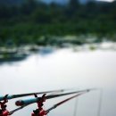 대동 낚시터 이미지