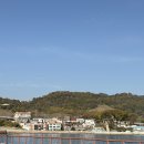 욕지일주로가로수 | 통영 욕지도 당일치기 욕지해운 왕복 배편 후기