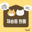 펫홈 이미지