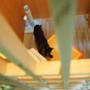 블루캣PC 이미지