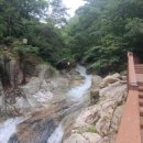 중원-14 이미지