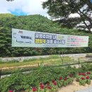 정이품송공원 화장실 이미지