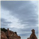 미소행정사 이미지