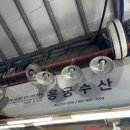 해삼수산 | [제주] 동문시장 용궁수산_뿔소라 1kg, 해삼 1마리 포장 내돈내산 솔직후기