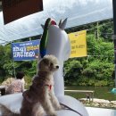 계곡식당 이미지