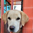 비욘드게스트하우스 이미지