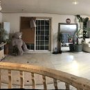 양평산수유펜션 이미지