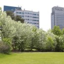 하단동1209 이미지