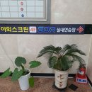 노스빌골프 이미지