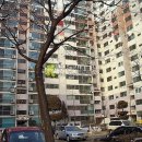 수락산로 이미지