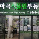 마곡대표공인중개사사무소 이미지